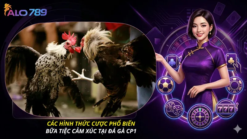Các hình thức cược phổ biến: Bữa tiệc cảm xúc tại đá gà CP1