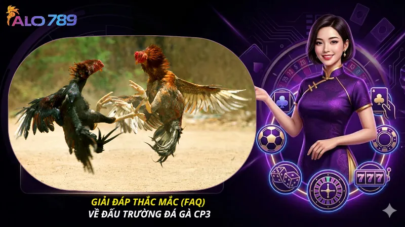 Giải đáp thắc mắc (FAQ) về đấu trường đá gà CP3