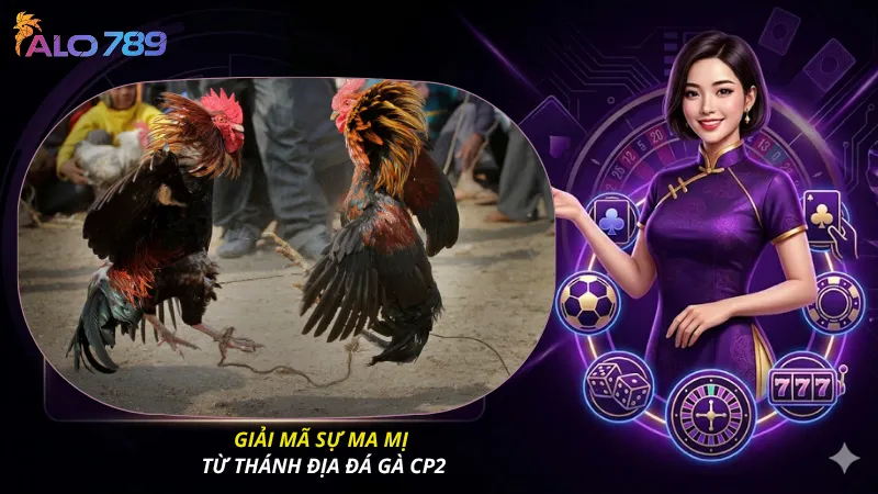 Giải mã sự ma mị từ thánh địa đá gà CP2