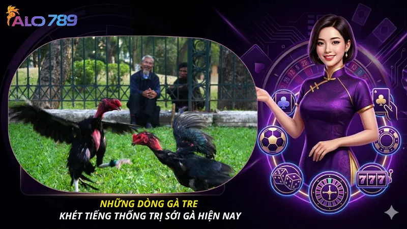 Những dòng gà tre khét tiếng thống trị sới gà hiện nay
