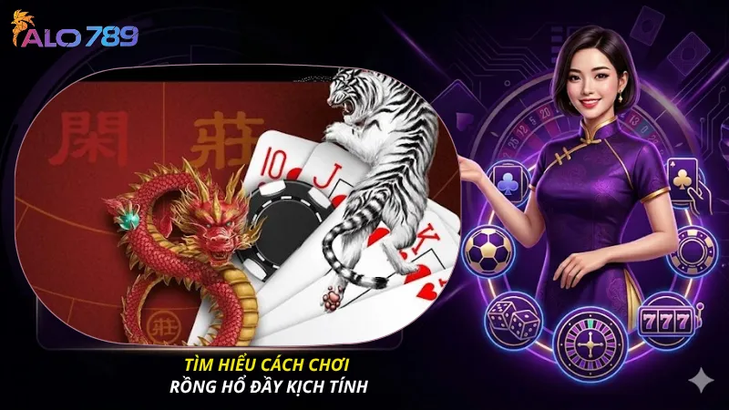Tìm hiểu cách chơi rồng hổ đầy kịch tính